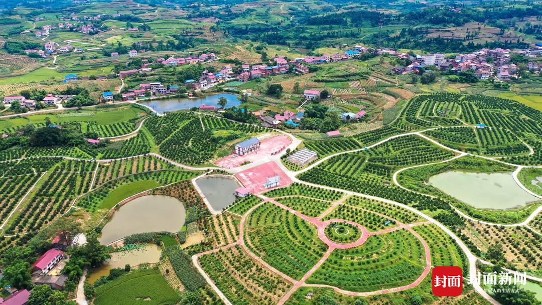 小康圆梦|实干圆梦小康 四川内江乡村处处活力