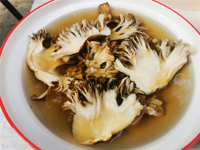 桂"鲜咪咪"莲花菌类食材品上市,对怕吃肉长胖的人是个利好