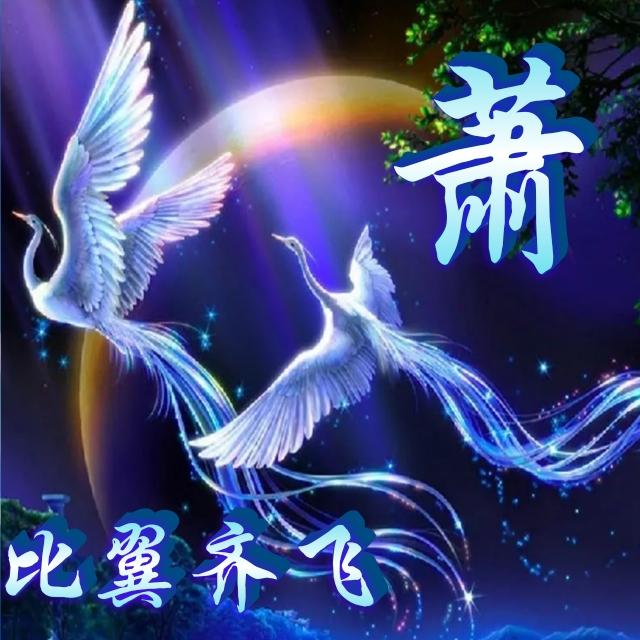 在天愿作比翼鸟,在地愿为连理枝,比翼齐飞姓氏头像