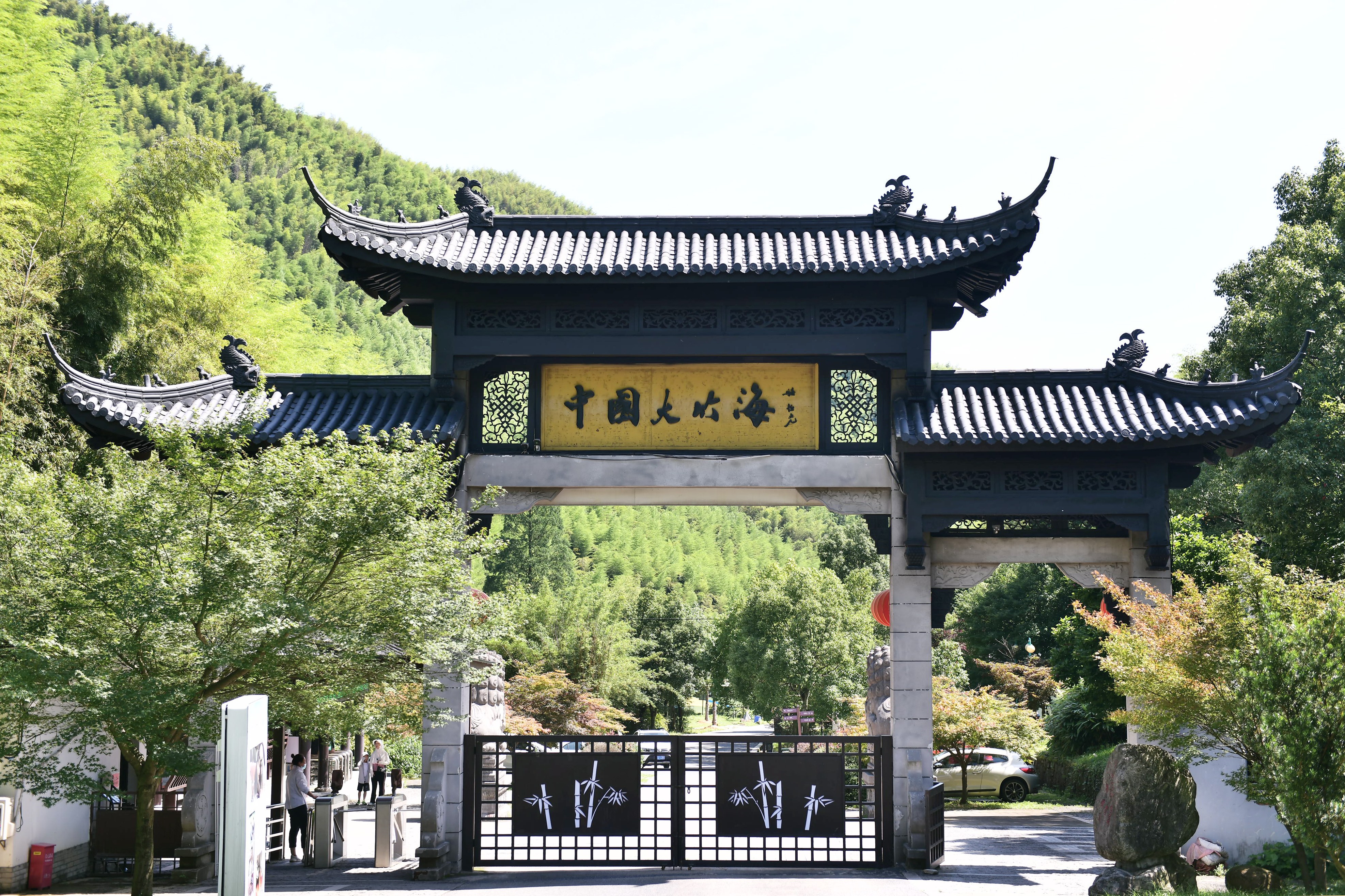 四季余村丨碧绿竹林送凉意,刻画消夏好生活