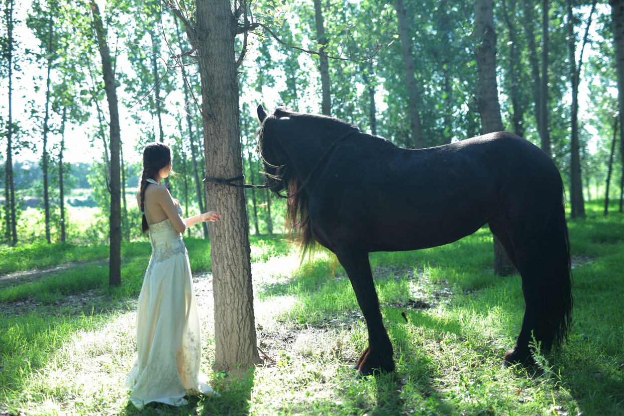 长腿美女亲自示范骑马拍照,摄影师辛苦了~