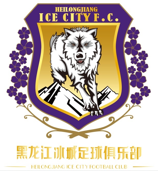 足球队完成更名!你好"黑龙江冰城"