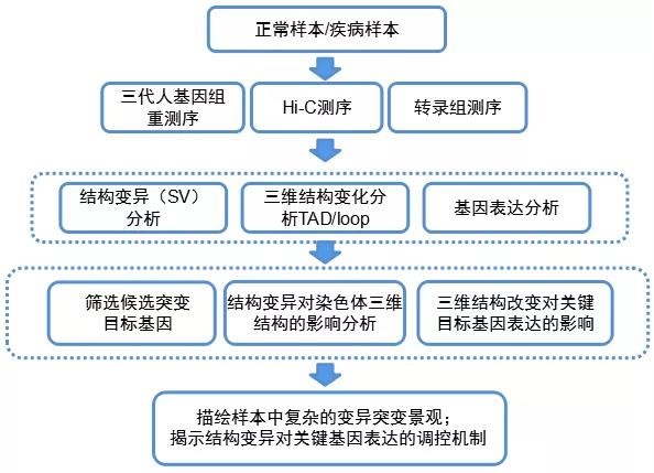 僅僅做基因組學研究還不夠,安諾為客戶提供了一套醫學多組學研究方案