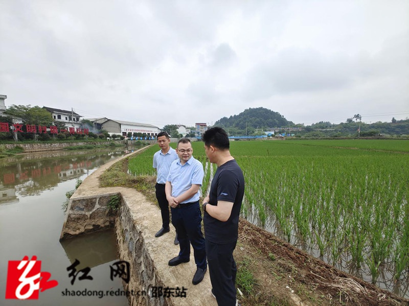 6月11日,邵东市委常委,常务副市长陈业华到仙槎桥镇督导防汛,防溺水