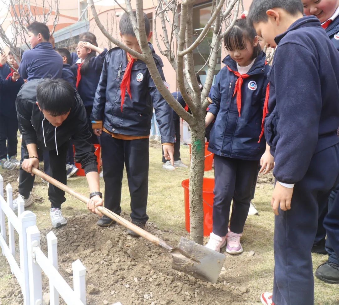 徐汇区徐汇实验小学"五乐"少年 | "植"此青绿 未来可期