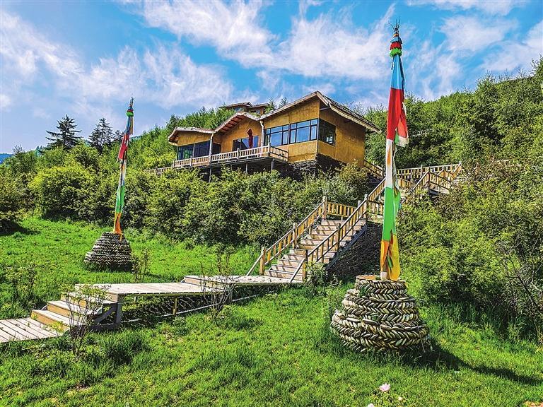 "小木耳"撑起乡村振兴"大产业"——卓尼县大力推进黑木耳产业发展走笔