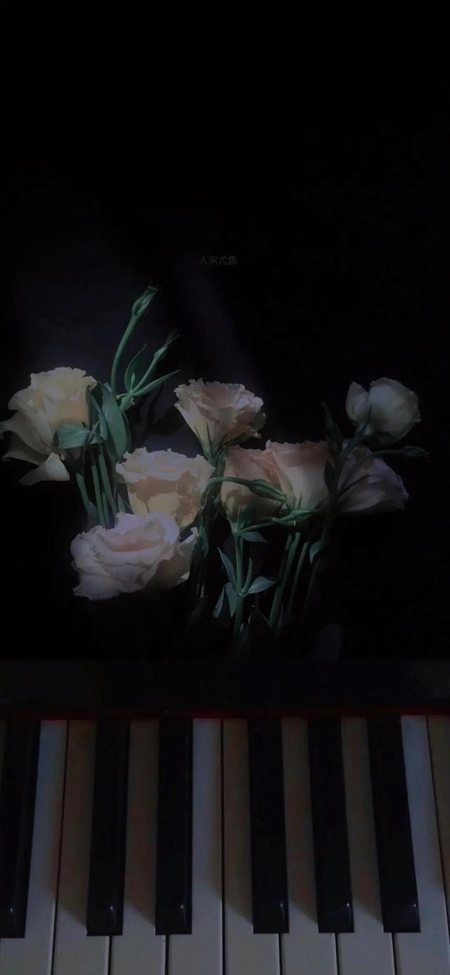 黑色系冷淡风の壁纸