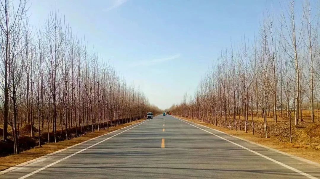 邯郸交通：春季绿化养护忙，提升环境保畅通