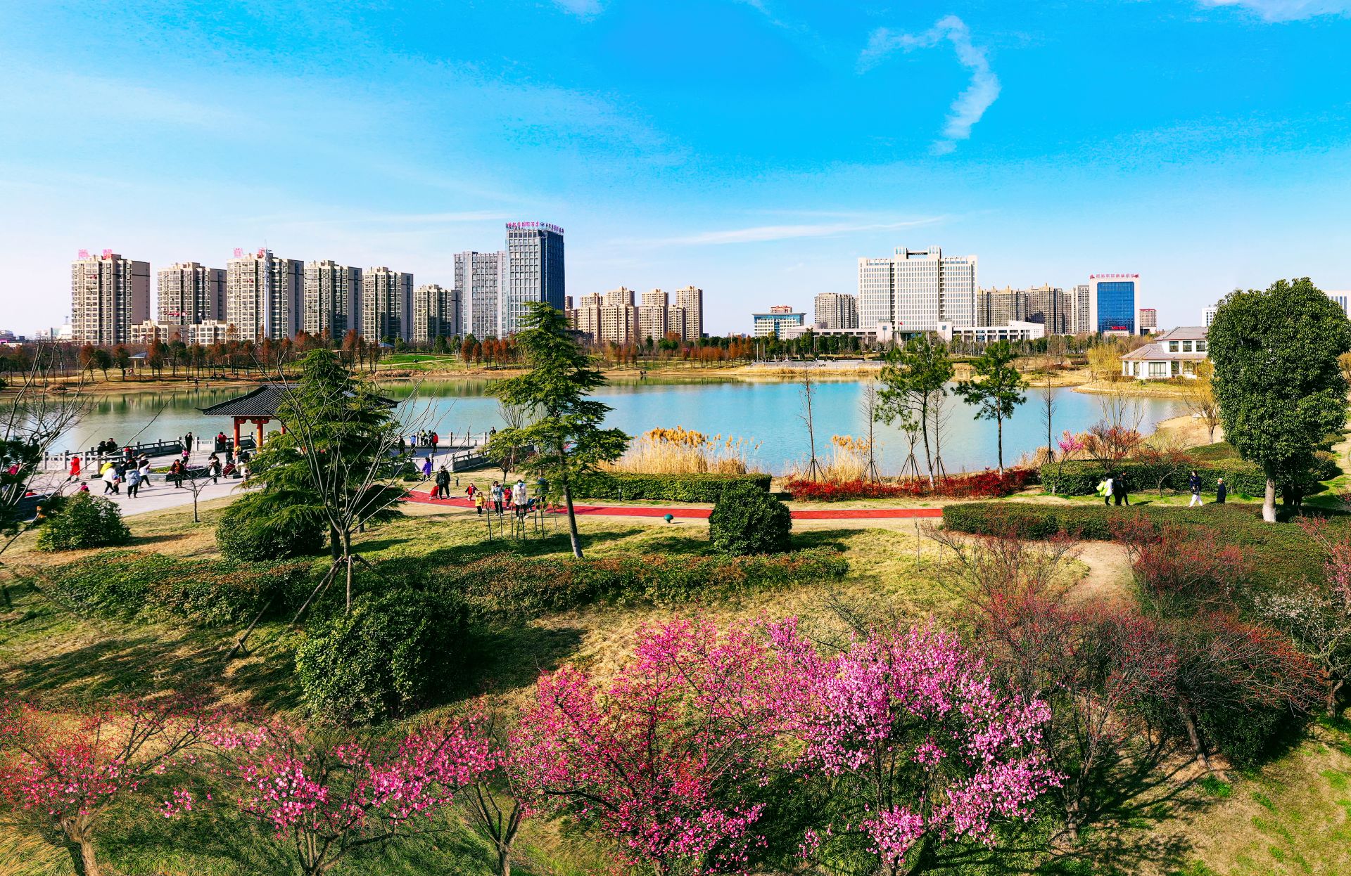 2022安徽两会明光开局跑出加速度同心绘就新蓝图