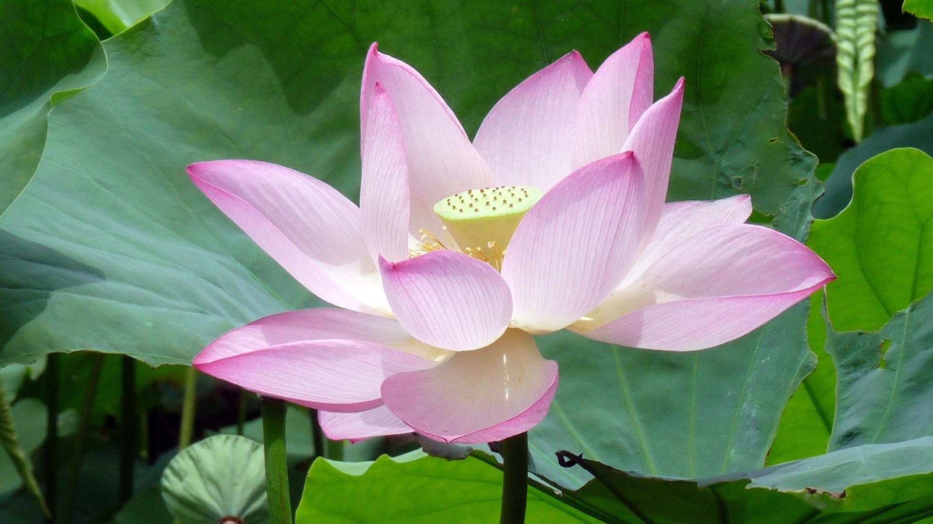 人生的路,别留遗憾