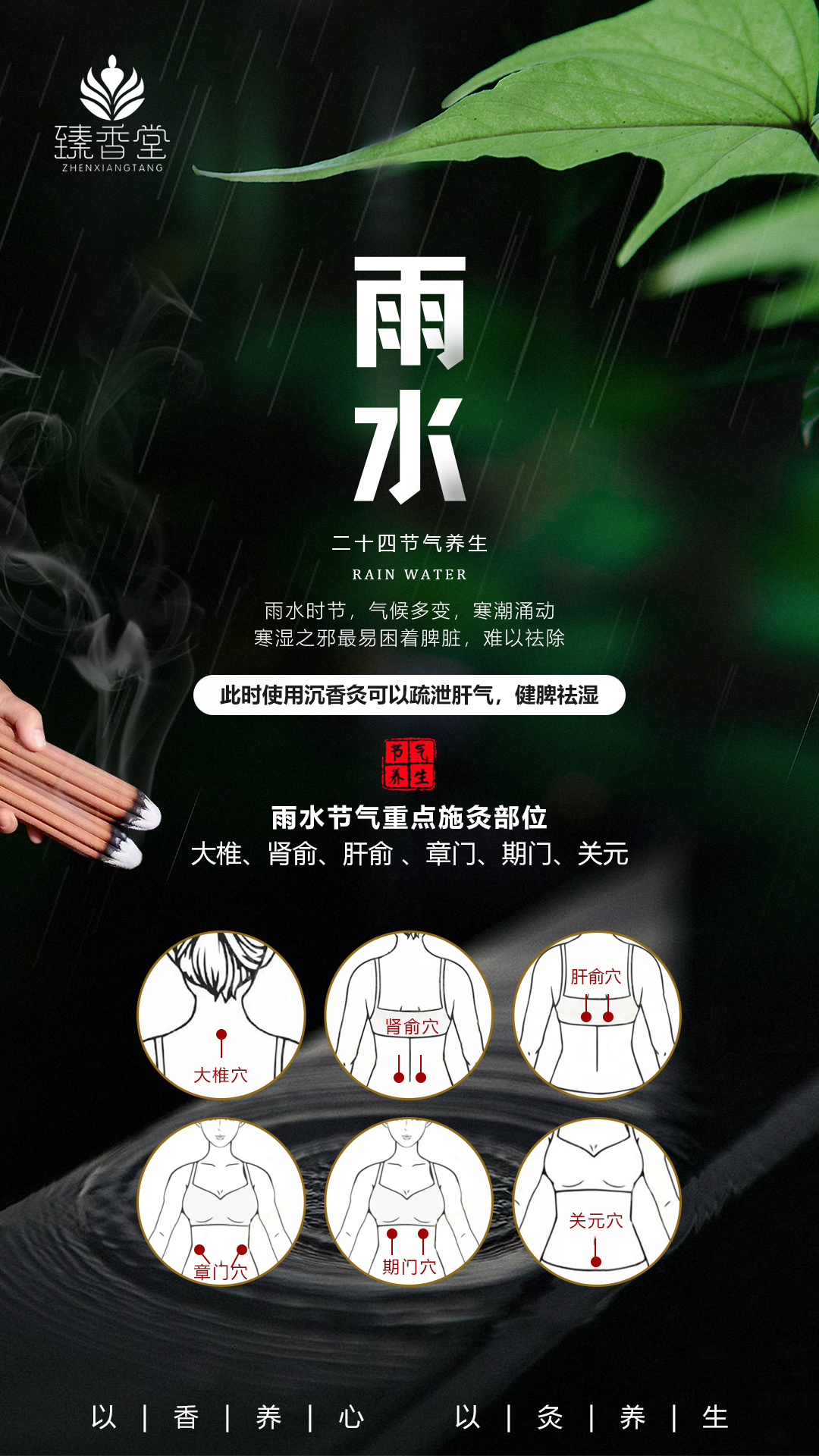 雨水节气由来与习俗,沉香灸养生,防寒祛湿,养肝护脾胃!