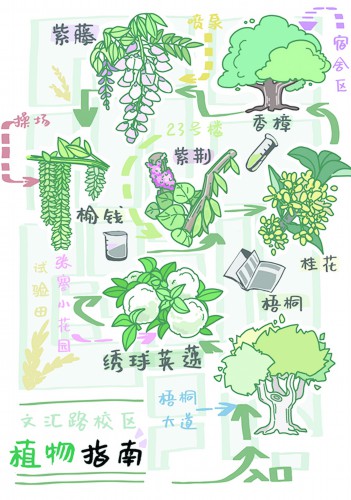 校园植物分布图图片