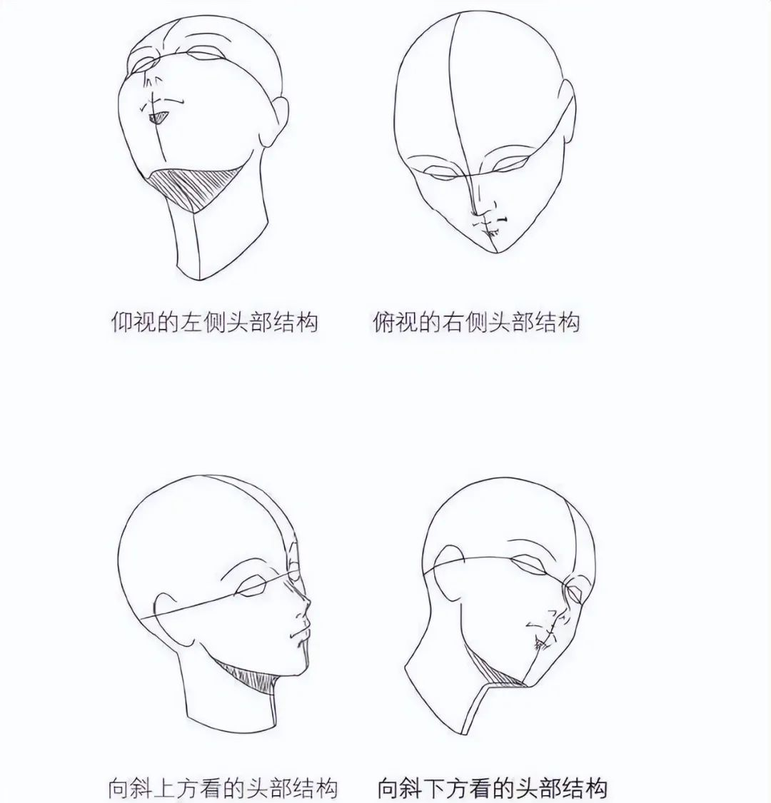 画人物头部简单(人物画头部简笔画)