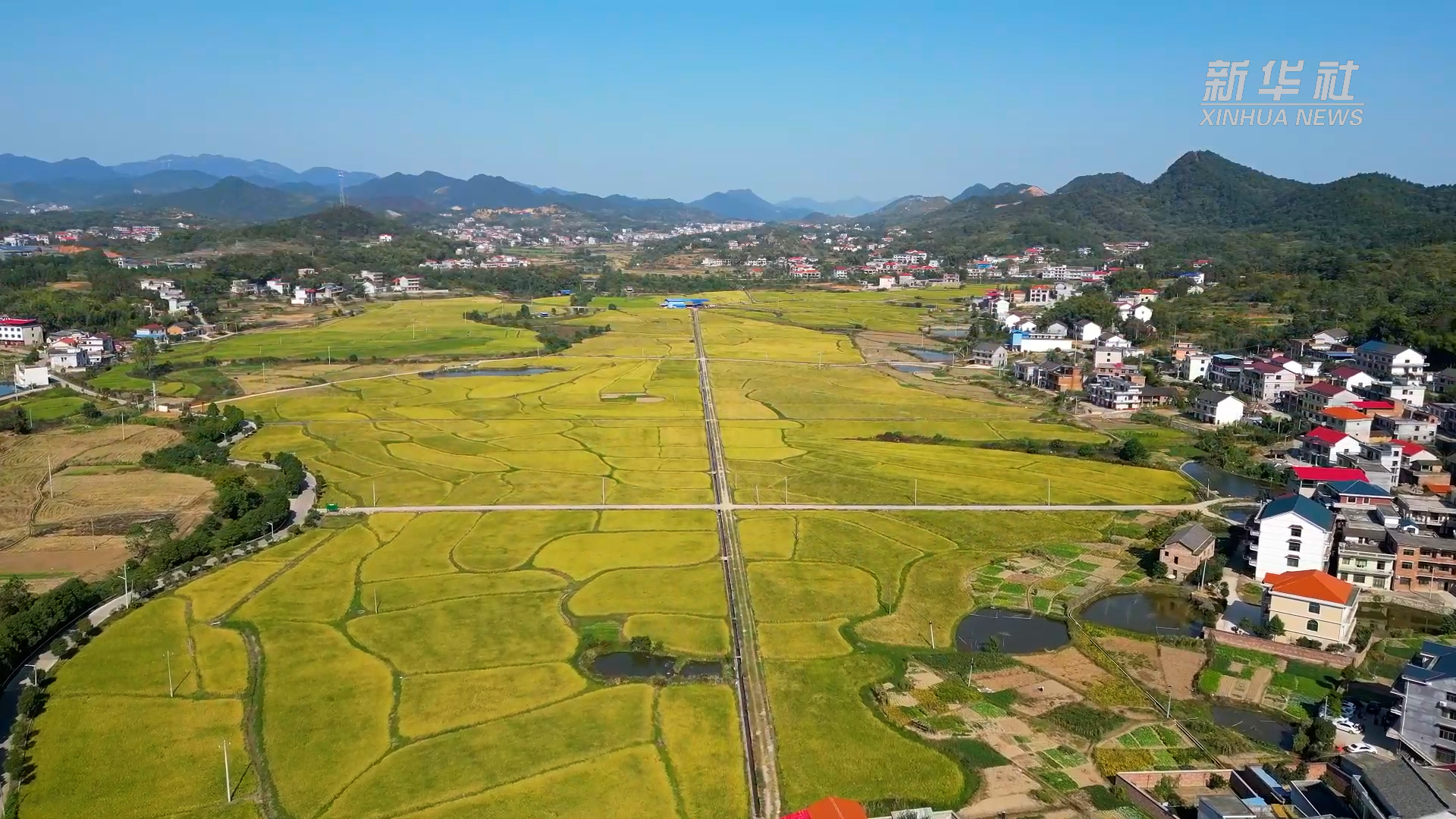 现代农村景象图片