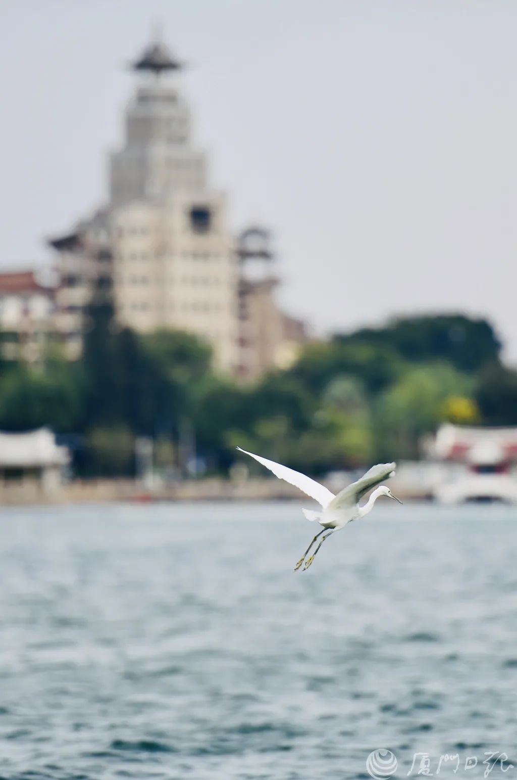 english night|sudden light