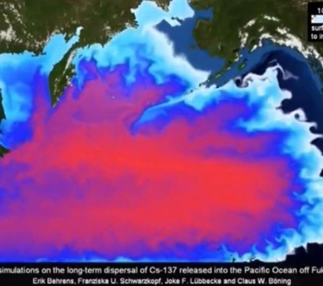 日本決定將核廢水排入大海,將會把人類推向毀滅,我們卻無能為力