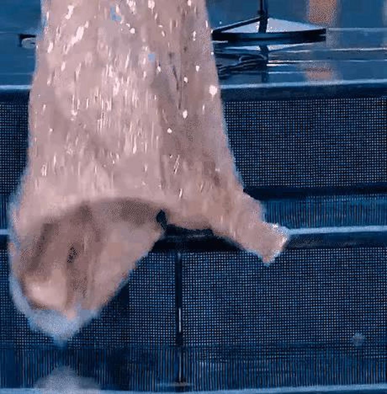 摇曳生姿就这个意思吧