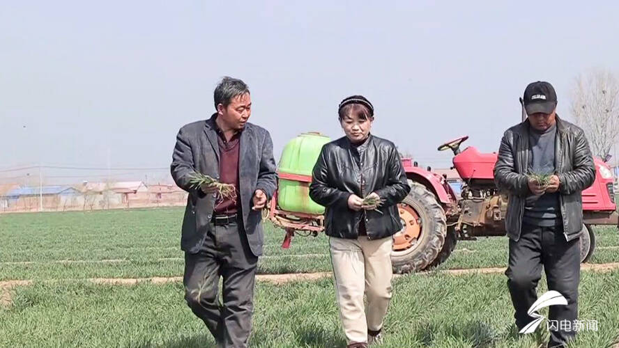 陵城"田保姆"王建成:粮田增收有"秘诀"