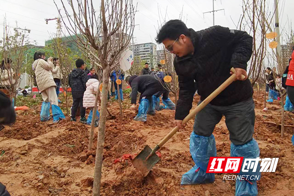 株洲市九方中學開展義務植樹活動 為幸福株洲助力