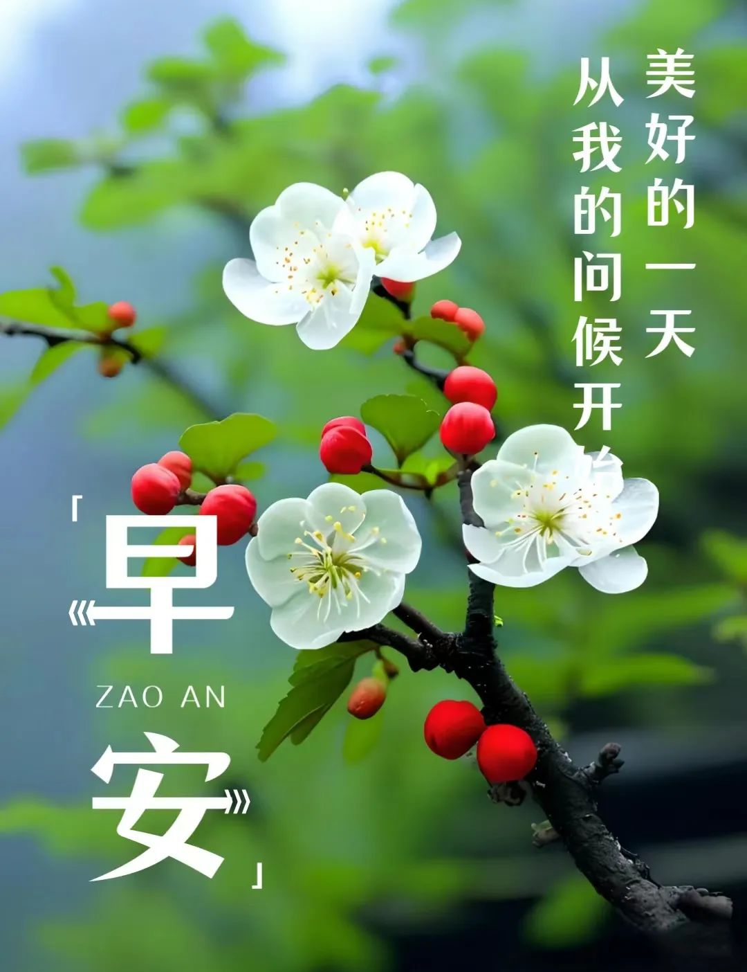 每日更新早安图片,传递温馨祝福与力量
