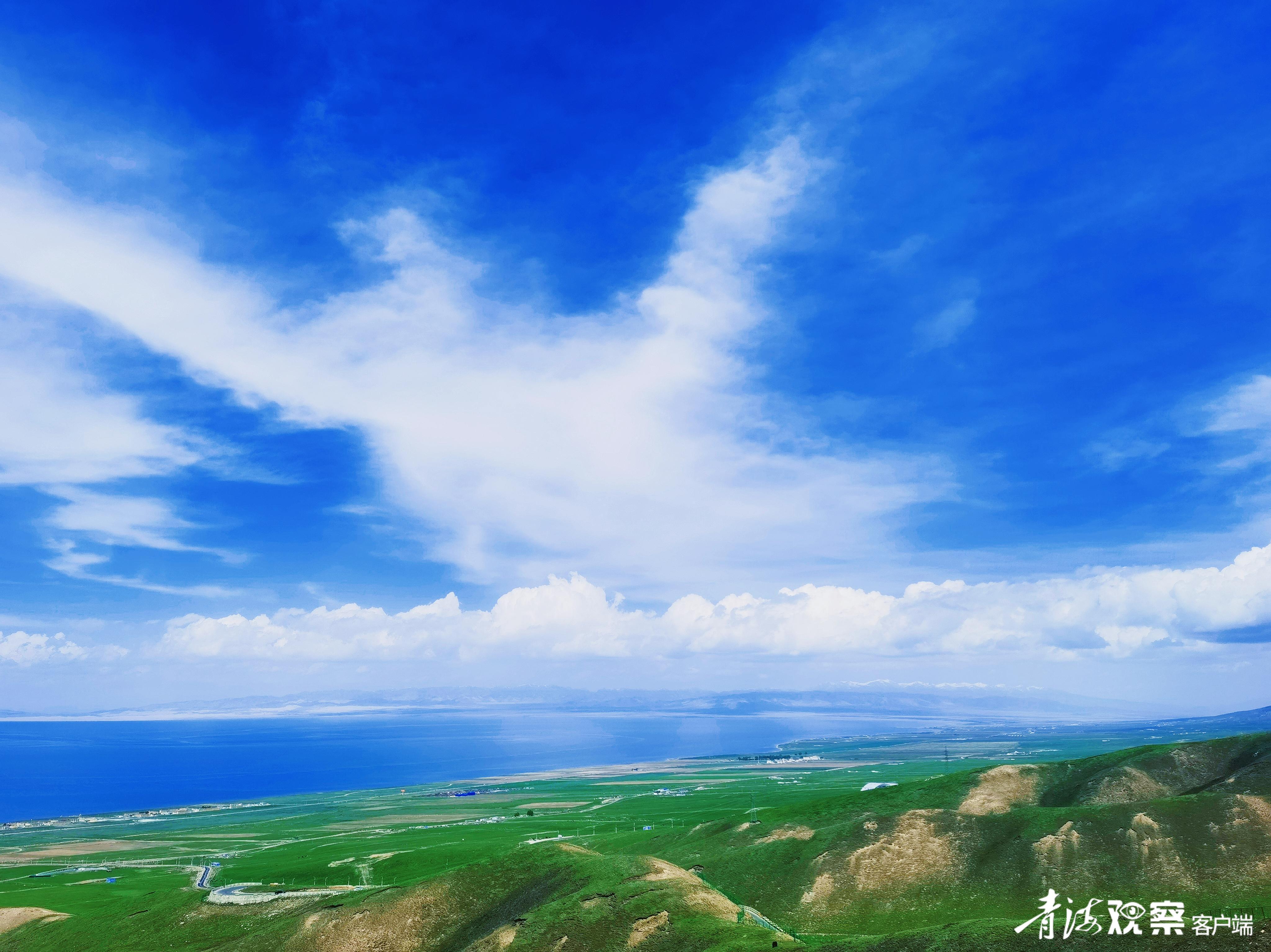 声声慢|那些年,我在青海湖南岸(节选)