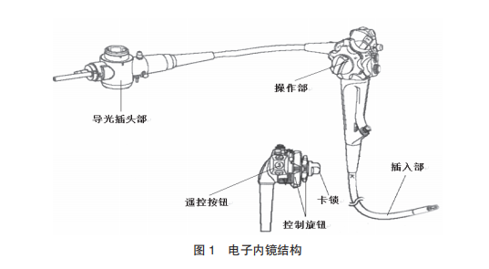 电子内窥镜结构图片