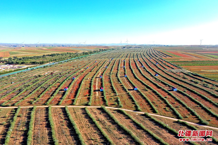 固阳线下空放 baijiahao.baidu.com