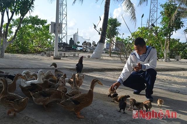 最新卫星图片显示,鸿庥岛已经被越南扩大数倍,面积超过南薰礁