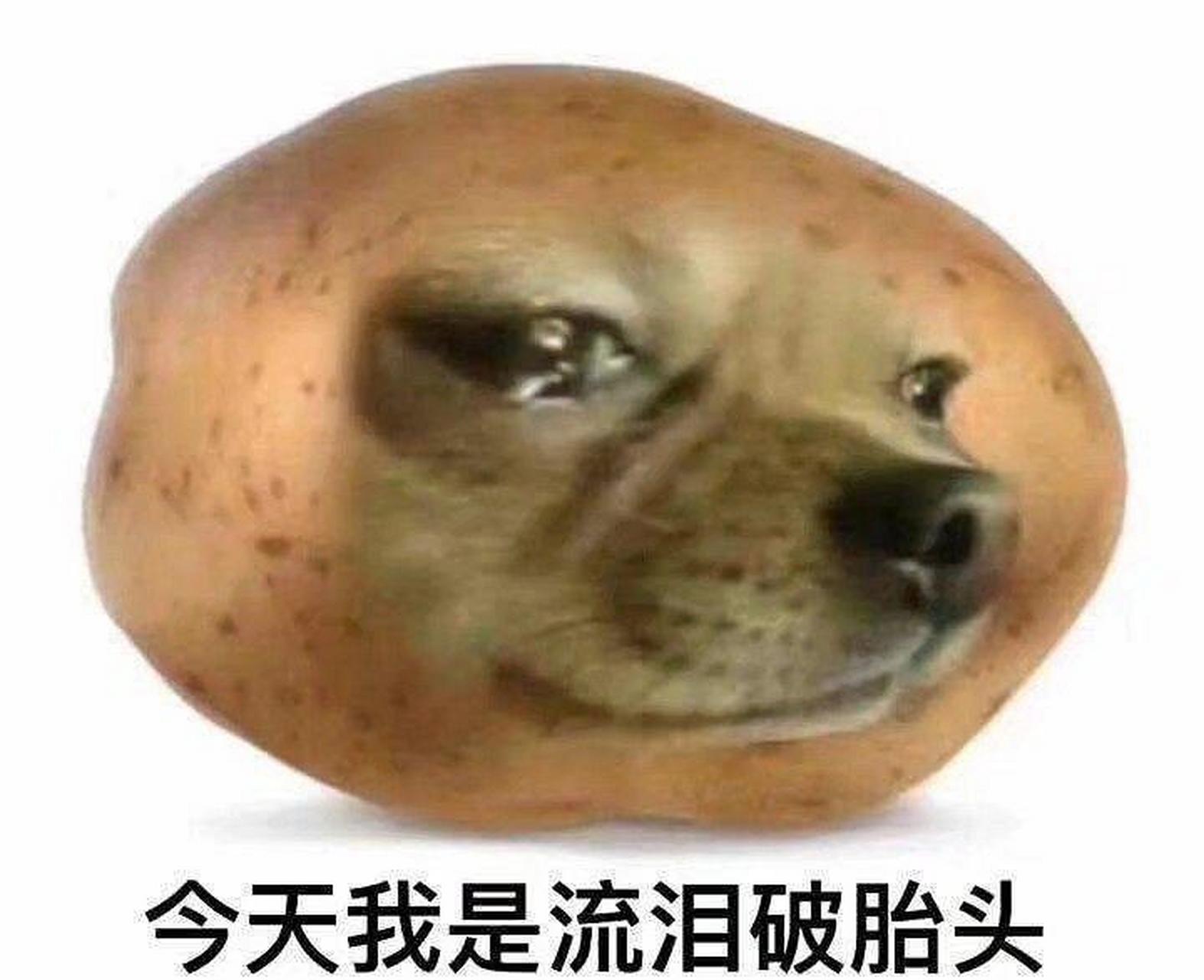 谐音梗要扣钱的