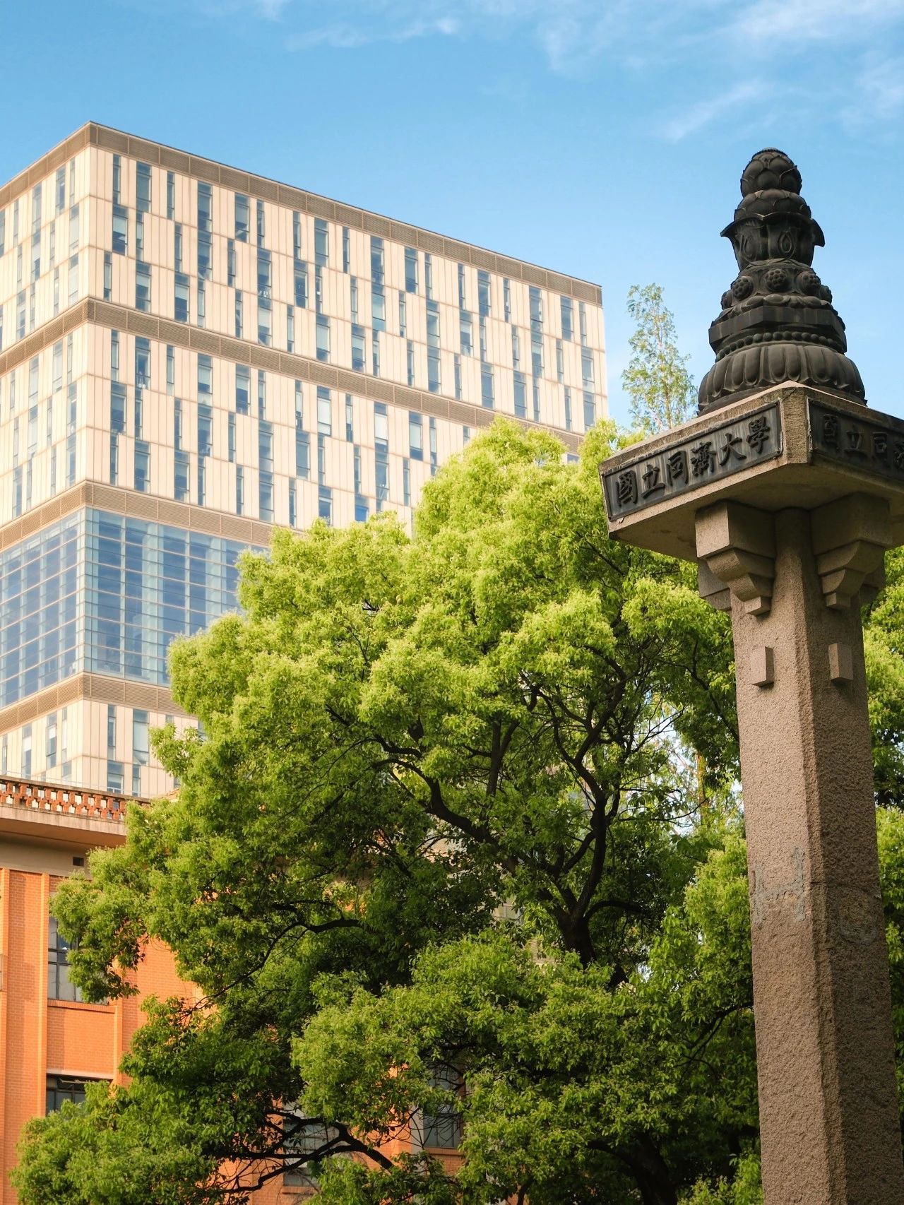 五月的浪漫,都在同济!