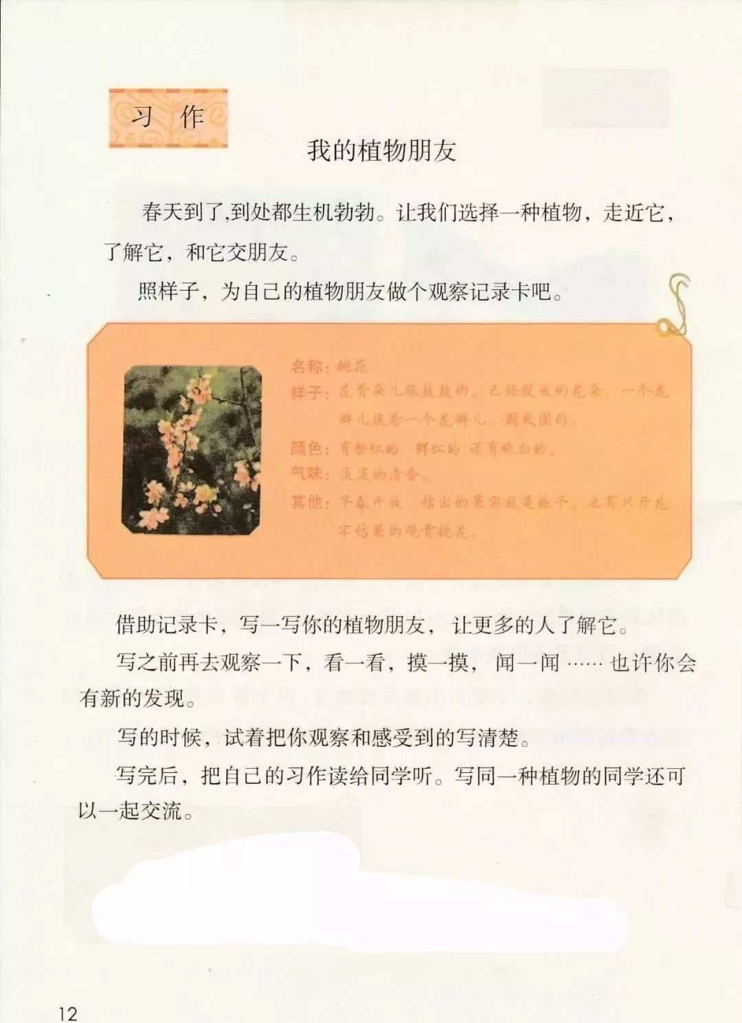 部编小学语文三年级下册第一单元习作《我的植物朋友》