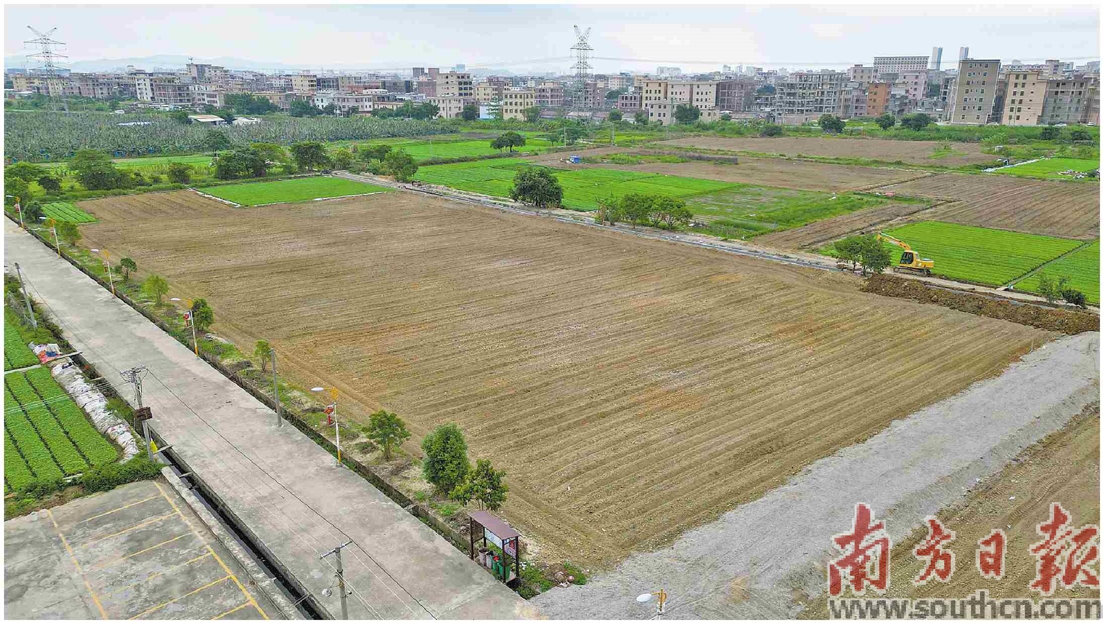 潮南区两英镇 特色品牌激活乡村产业新动能