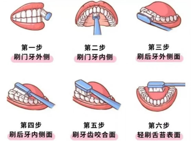 标准巴氏刷牙法来了!大家对照一下自己刷牙刷对了没?