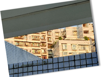 我为两校传"情书"|重庆市丰都中学&武汉理工大学