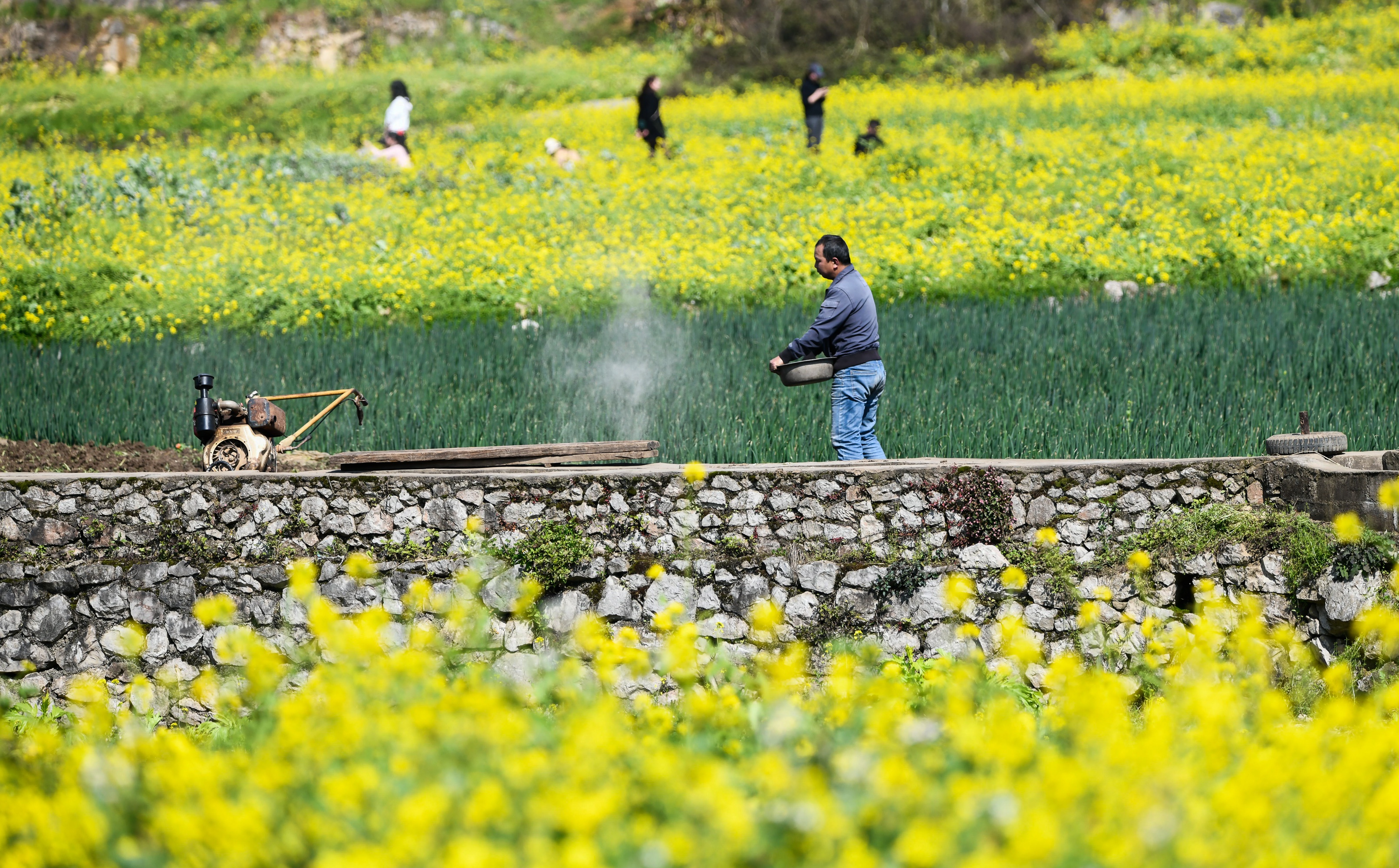 春季的农事活动 baijiahao.baidu.com