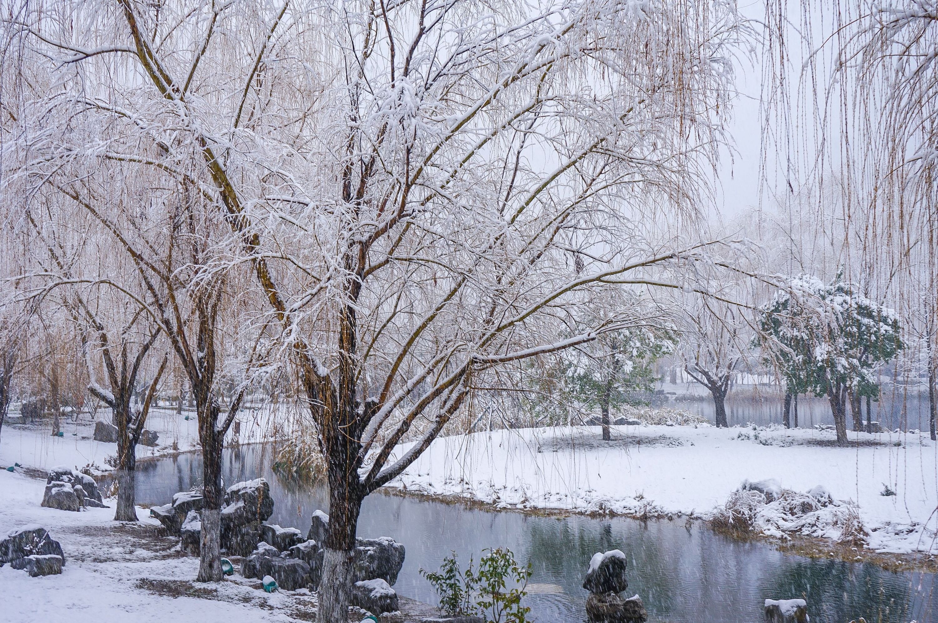 龙沙公园雪景图片