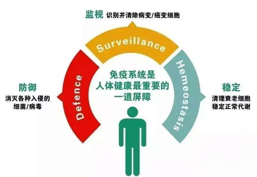 cik免疫细胞到底有什么用,让我们从免疫失衡说起