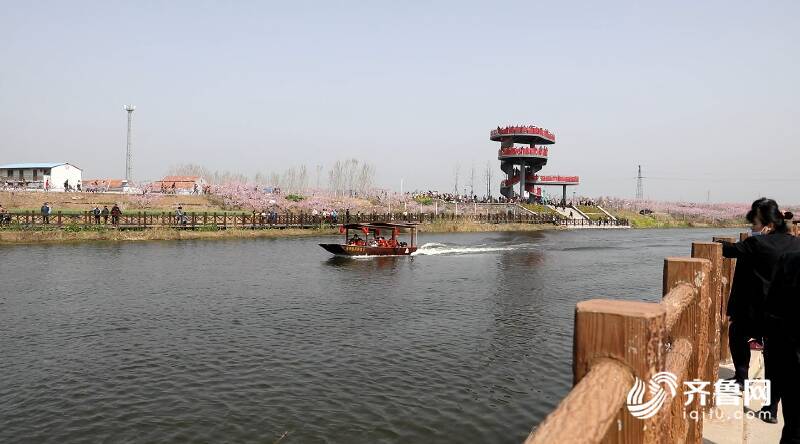 58秒丨"盎然桃花海 奋进新鱼城"鱼台鱼城第四届桃花旅游节开幕