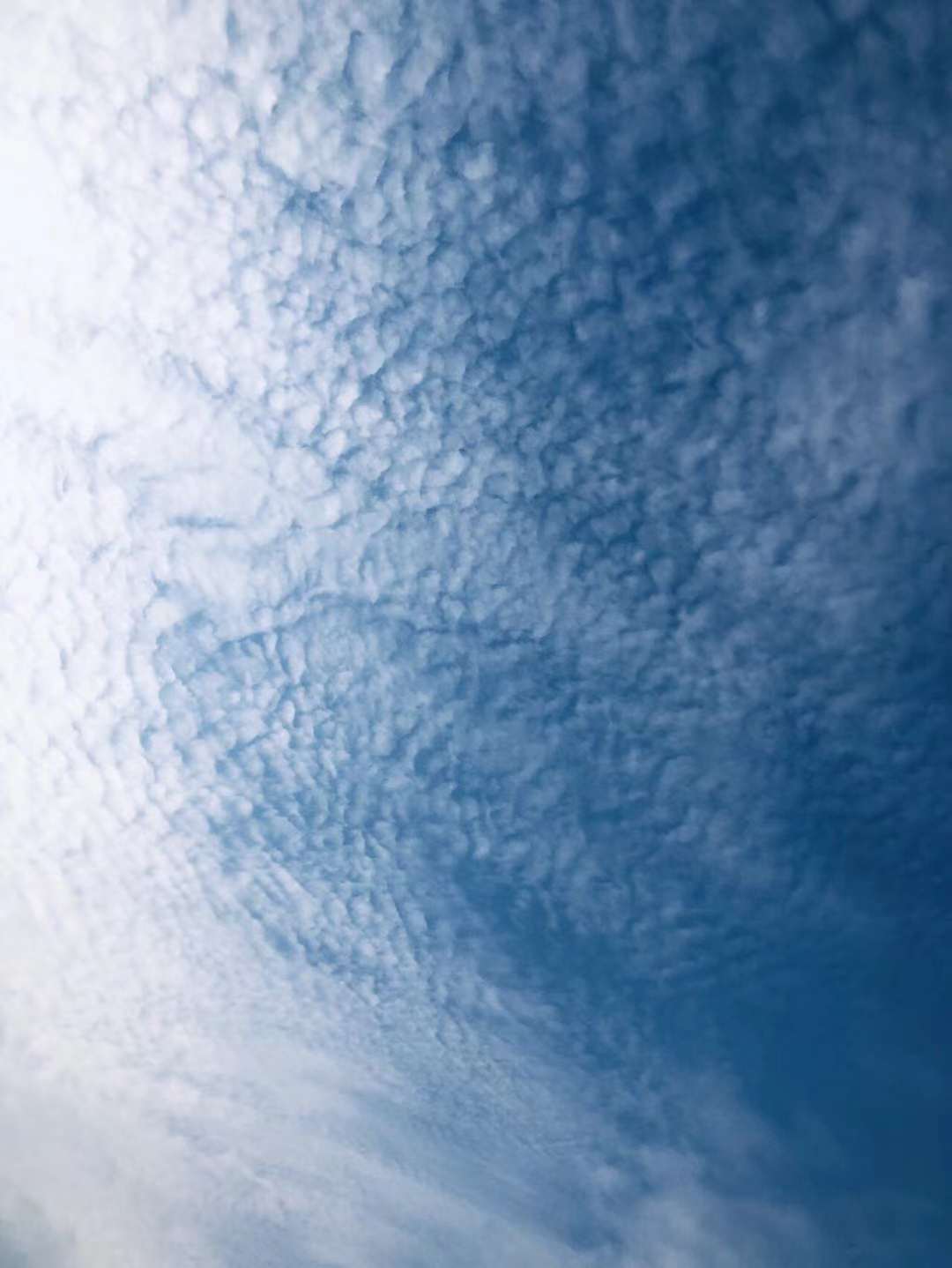 云中吟·三教圣诞录丨 十一月廿三日:张仙大帝圣诞