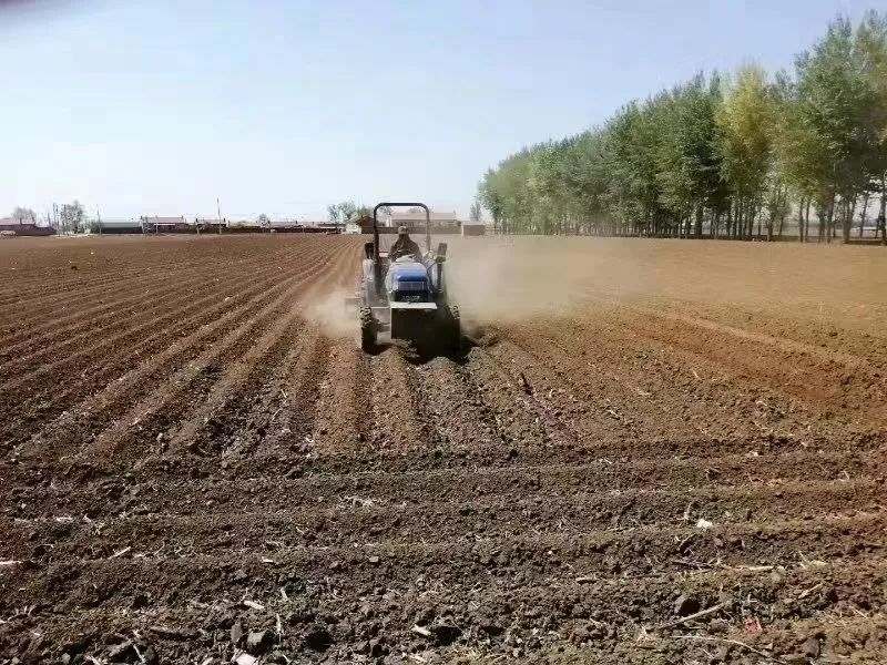 东北开启春播大忙!天气是否"给力"?有何生产建议?|解读