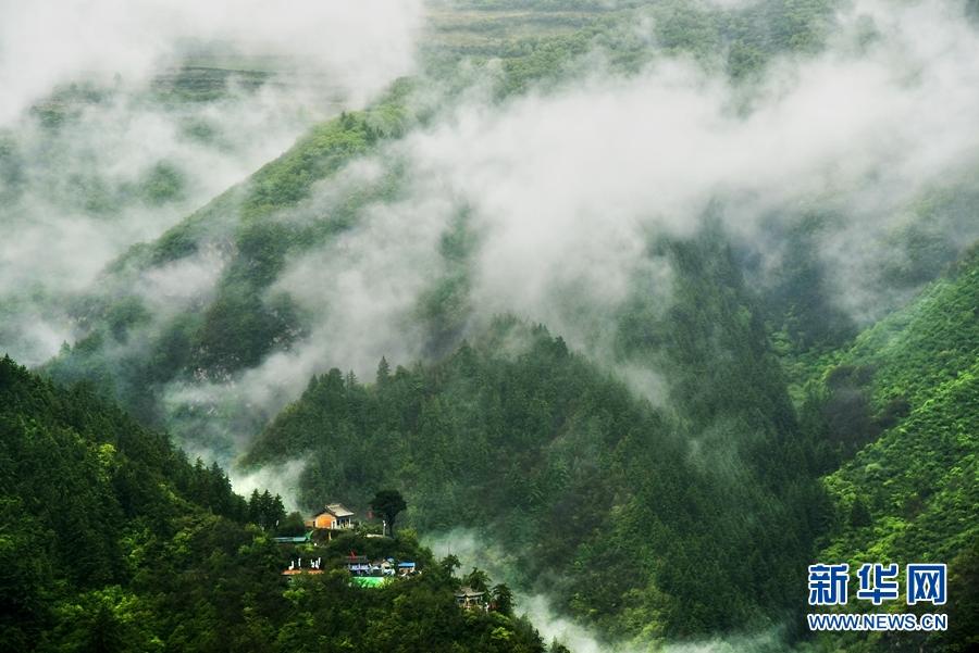 「大美甘肃」兴隆山"烟雨图"