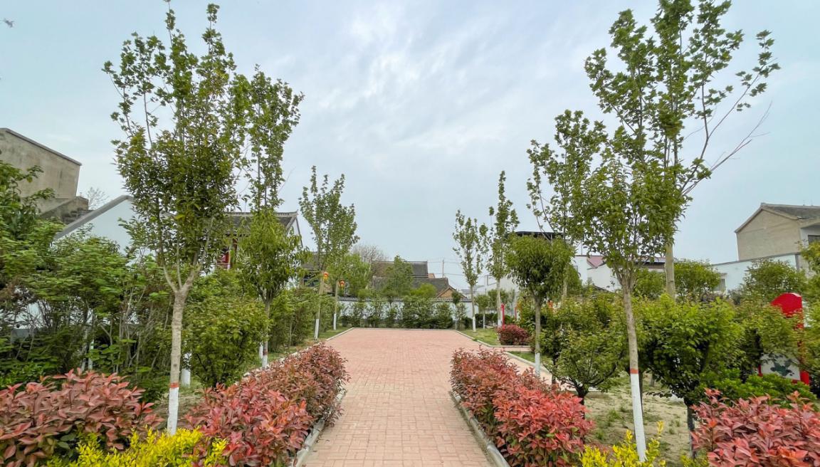 河南杞县高阳镇坚持走绿色发展道路 科学推动乡村振兴