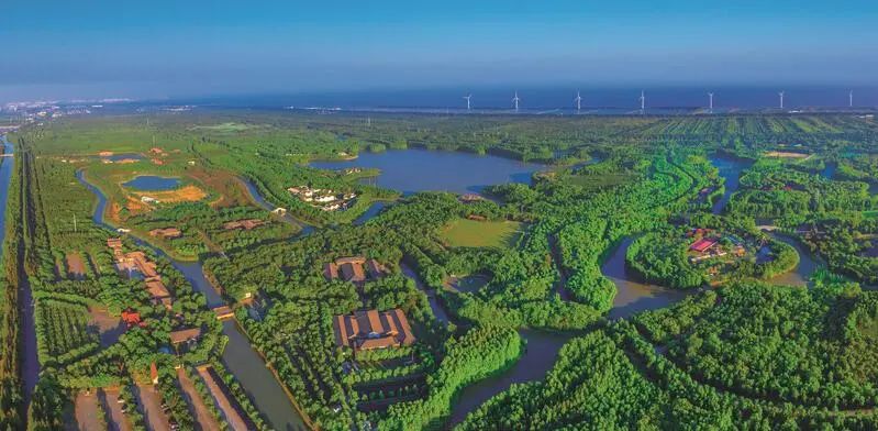 上海这里15年前欲打造"世界第九湾",但现实很骨感