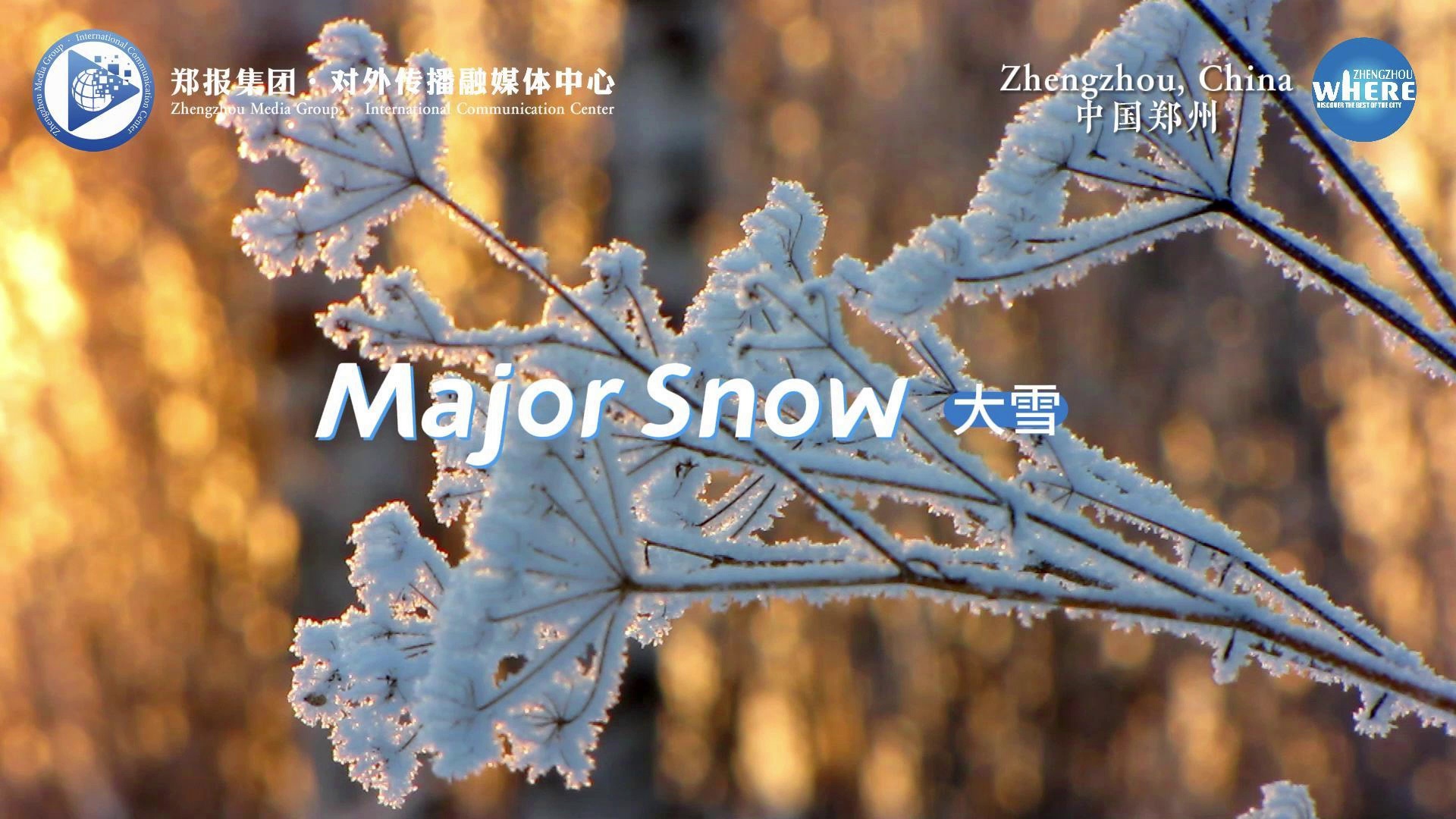 SnowWh图片