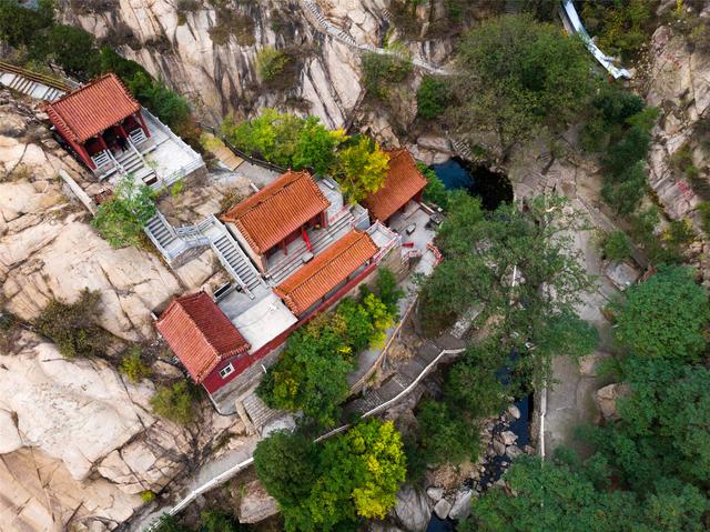 房干森林康养旅游基地图片