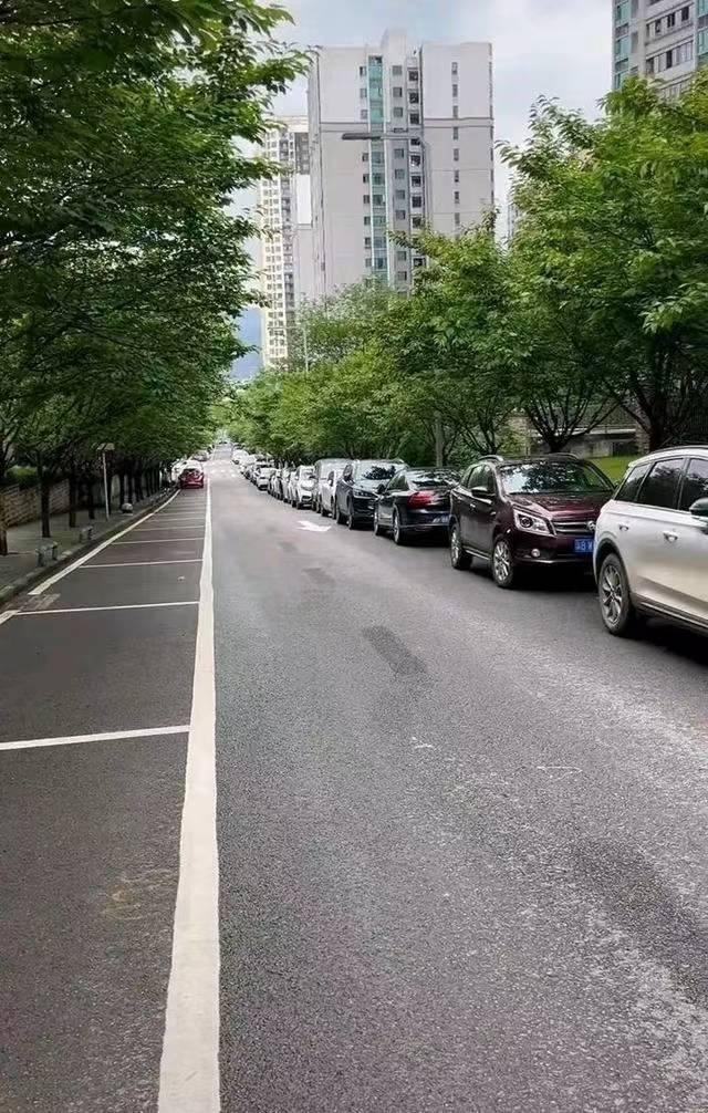 路边乱停车图片