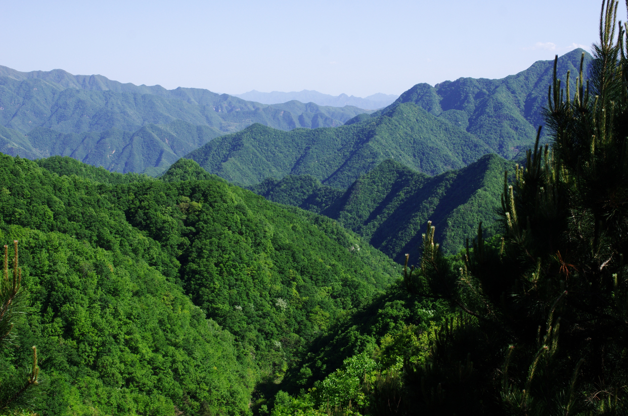 2022年5月3日登卢氏玉皇山,熊耳山