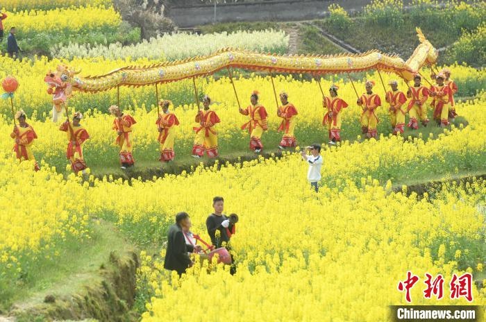 重庆菜花节:村民舞龙迎客 市民赏花踏青