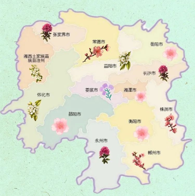 湖南哪里的春天最好看?这份赏花地图快收藏