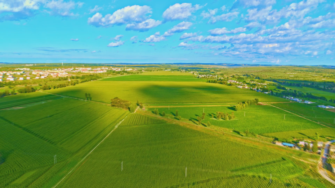 多家媒体再次聚焦准格尔旗准准的